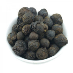 Δαφνοκούκουτσα