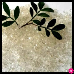 Μαστίχα Χίου