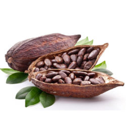 Σπόροι κακάο (Cacao Beans)