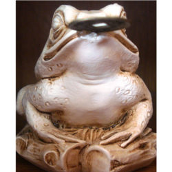 Βάτραχος αφθονίας