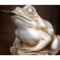 Βάτραχος αφθονίας